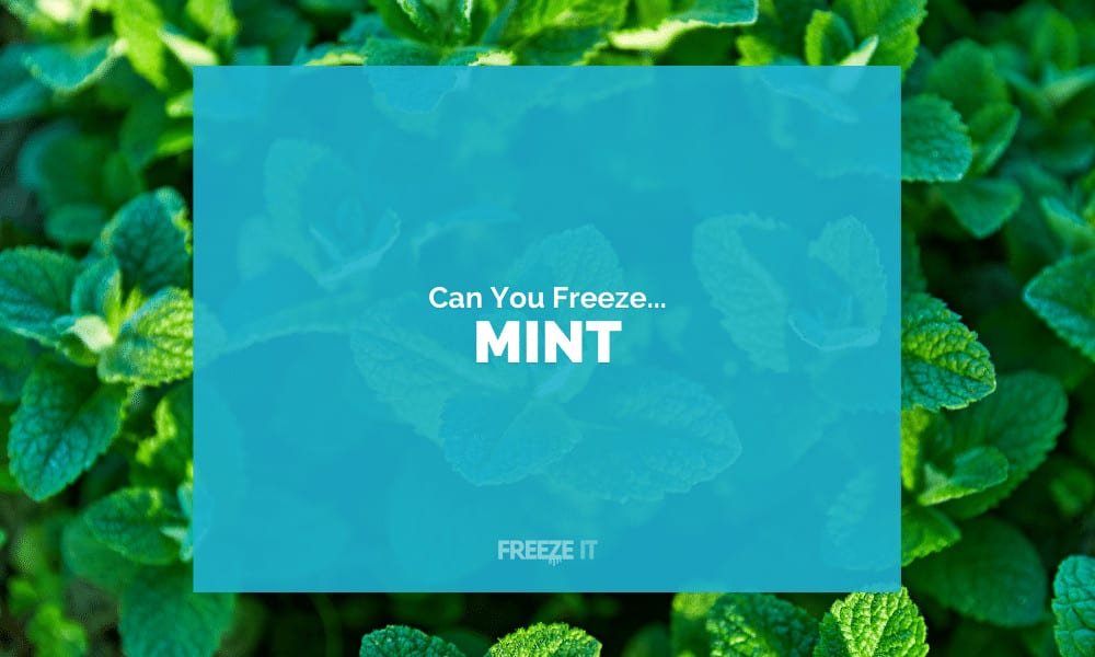 Can You Freeze Mint