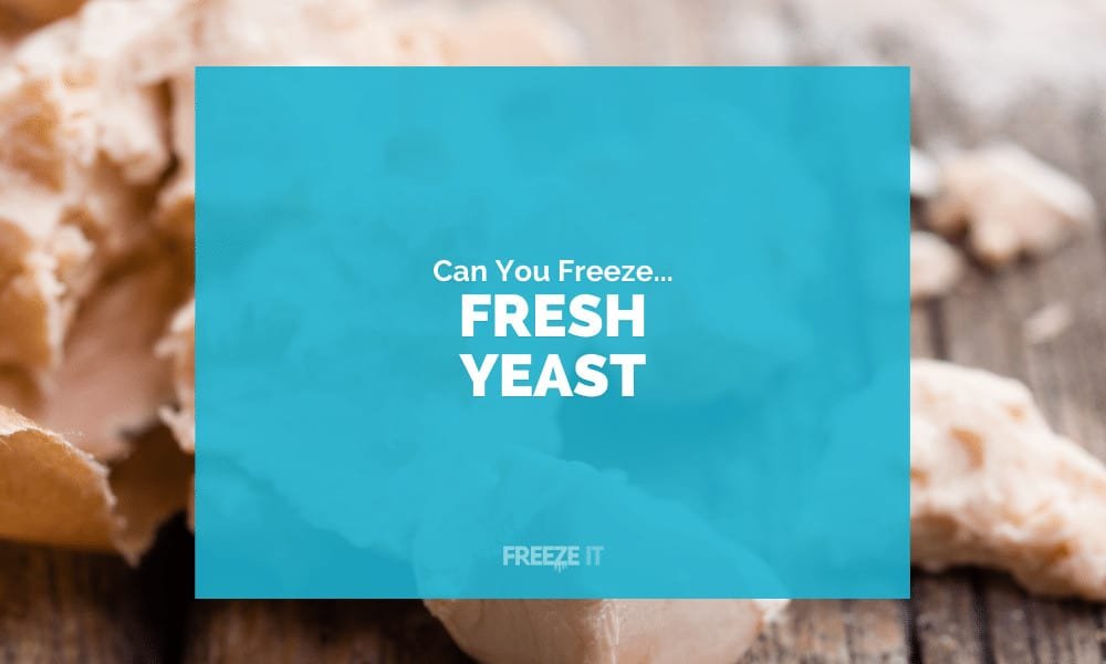 Can You Freeze Fresh Yeast