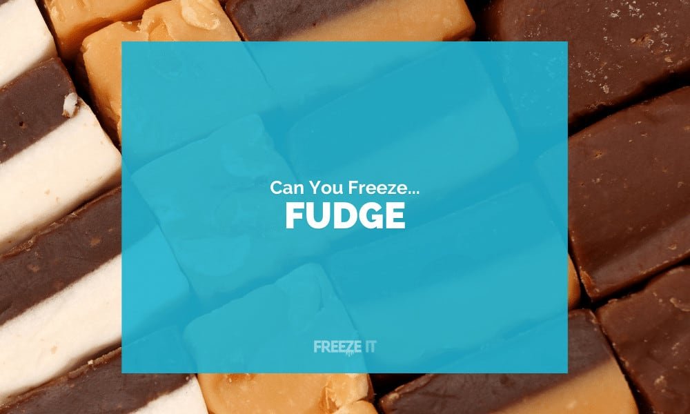 Can You Freeze Fudge? Yes! Here's How... Freeze It