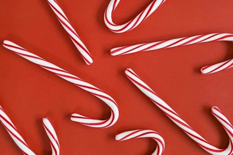freeze candy canes