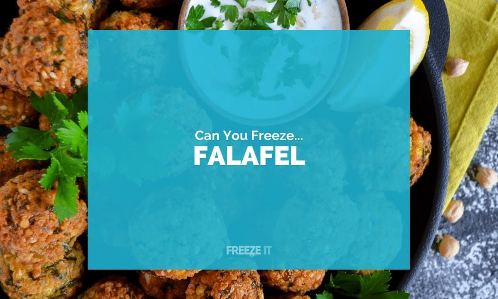 Can You Freeze Falafel