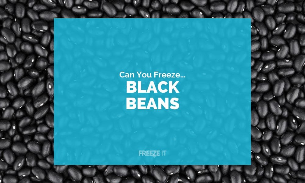 Can You Freeze Black Beans