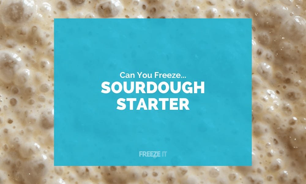 Can You Freeze Sourdough Starter