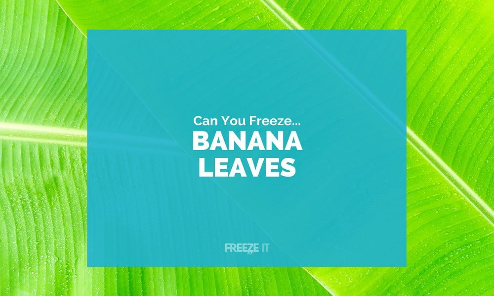 Can You Freeze Banana Leaves