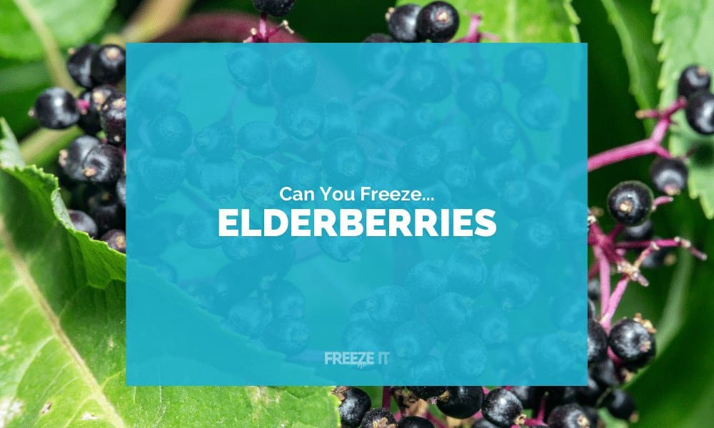 Can You Freeze Elderberries