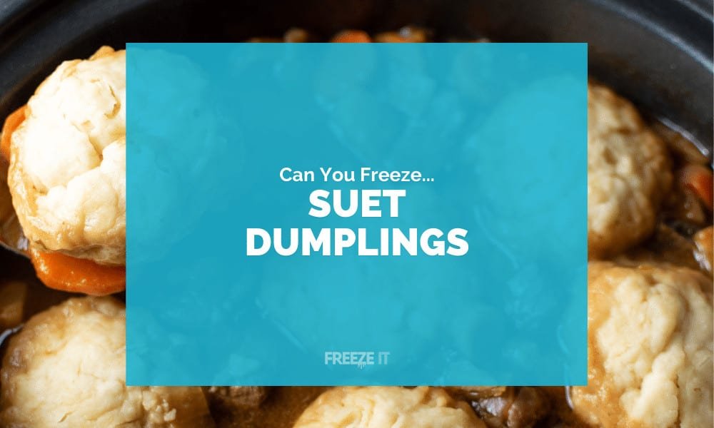 Can You Freeze Suet Dumplings