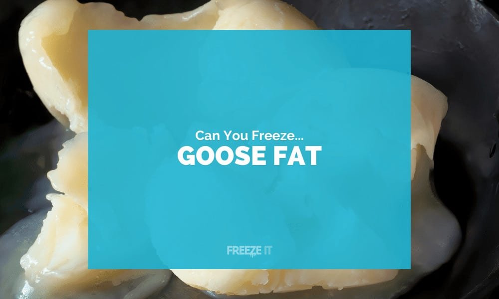 Can You Freeze Goose Fat