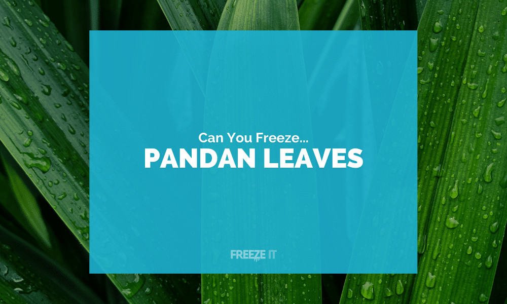 Can You Freeze Pandan Leaves