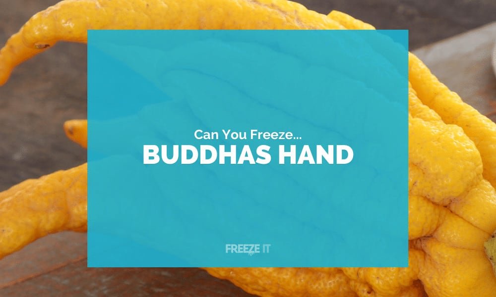 Can You Freeze Buddhas Hand