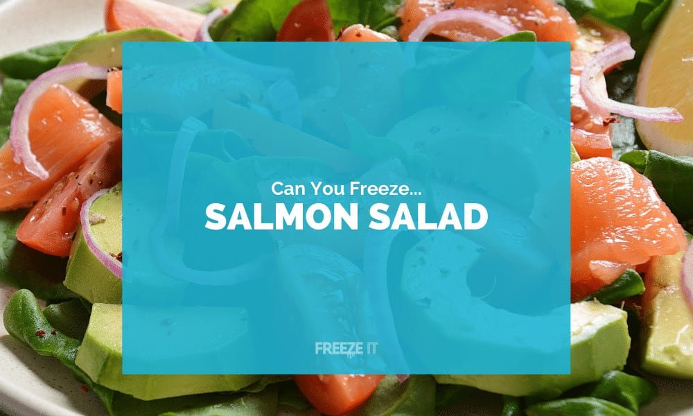 Can You Freeze Salmon Salad