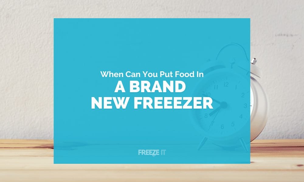 When Can You Put Food in a New Fridge Freezer