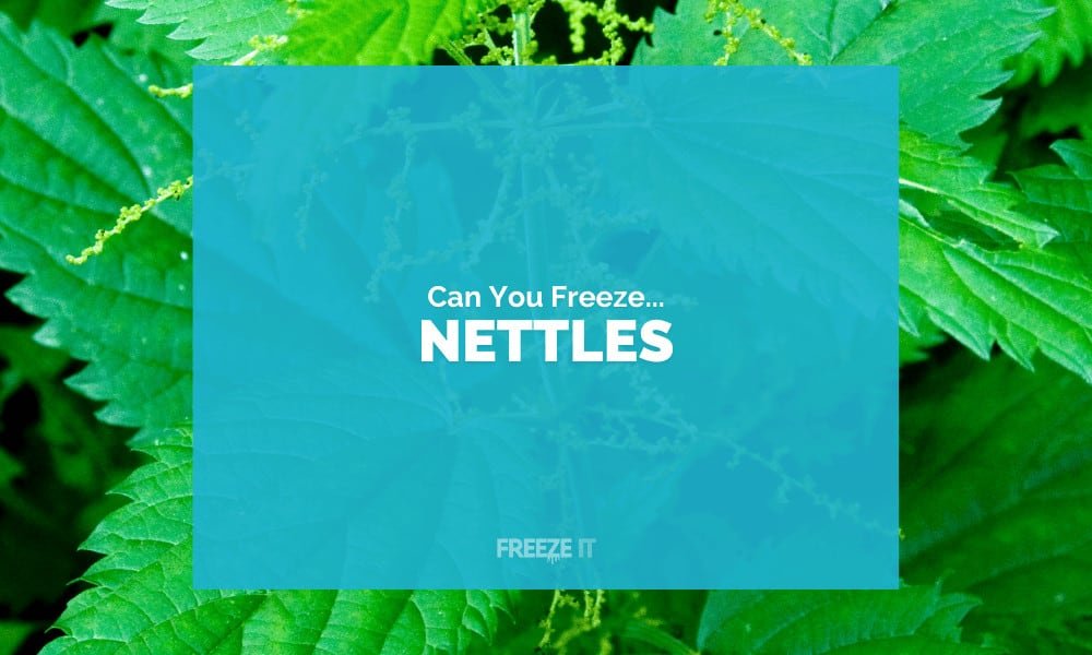 Can You Freeze Nettles