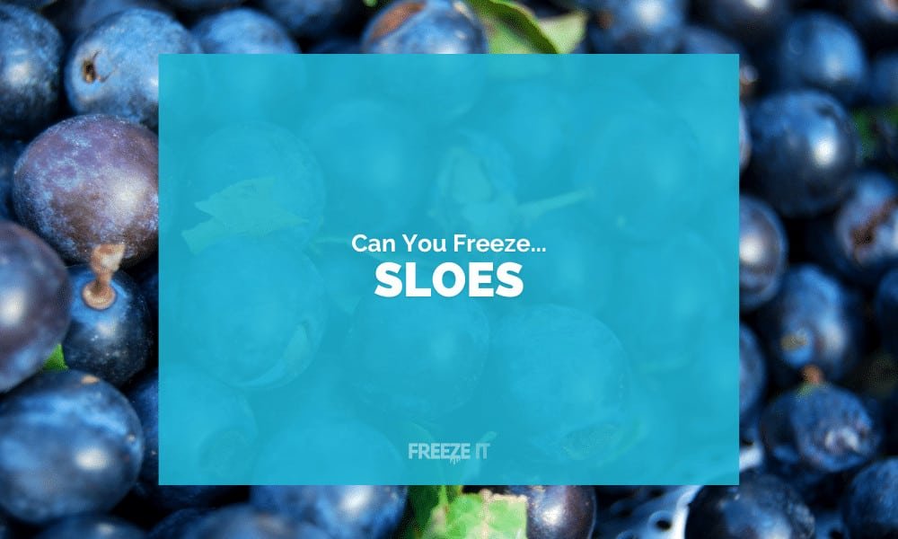 Can You Freeze Sloes