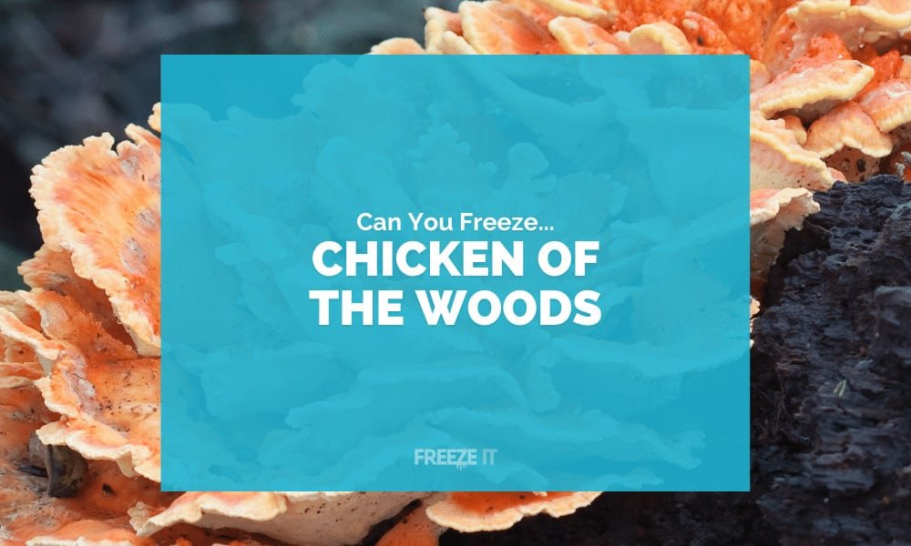 Can You Freeze Chicken of the Woods