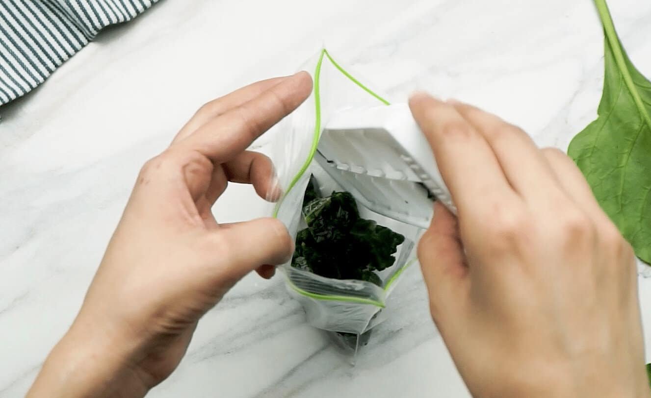 Can You Freeze Spinach? Yes! Here's How... Freeze It