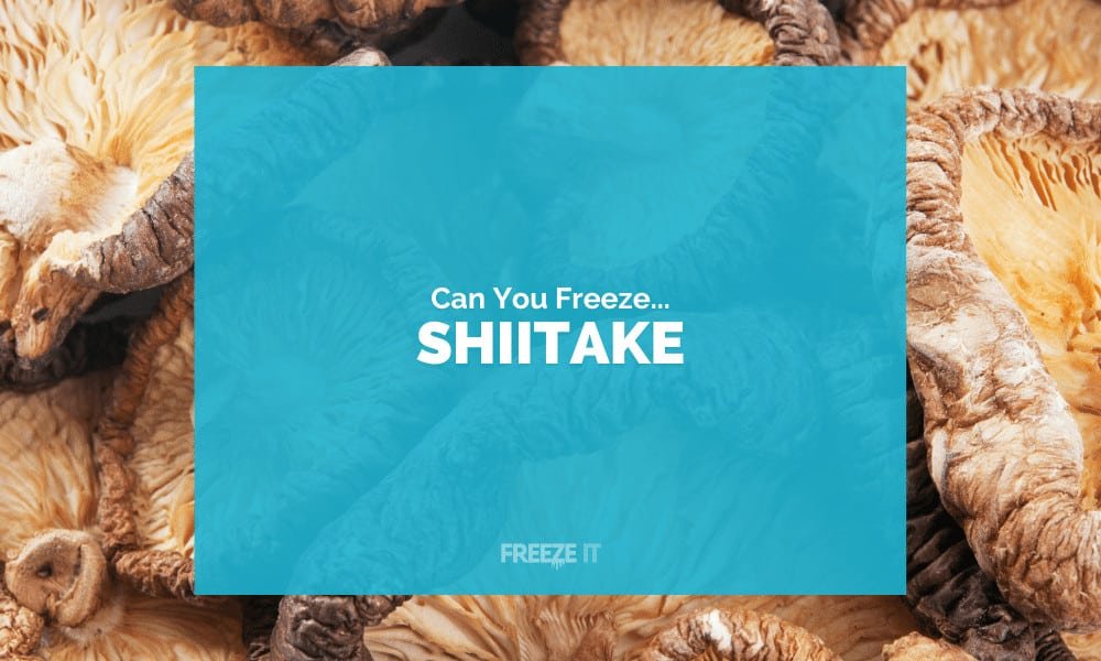 Can You Freeze Shiitake Mushrooms