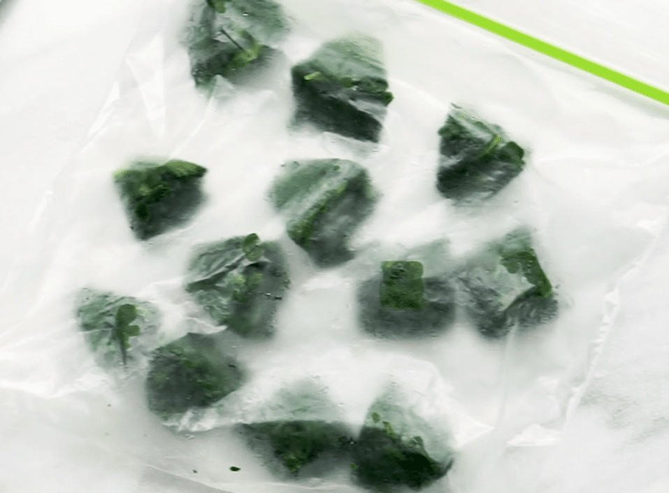 Can You Freeze Spinach? Yes! Here's How... Freeze It