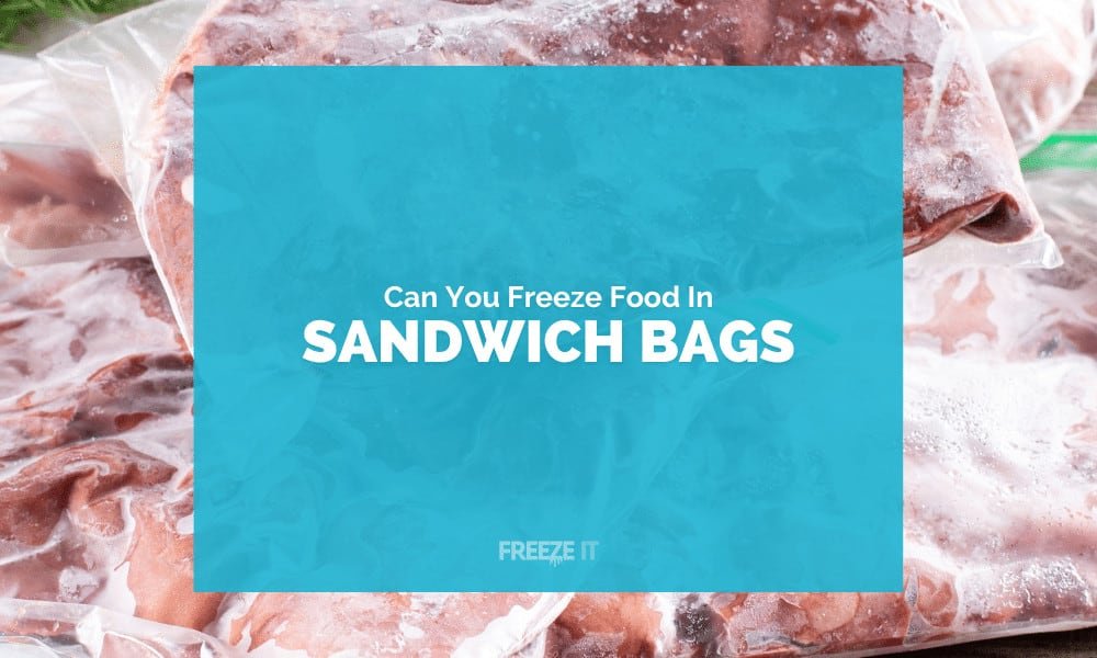 Can You Freeze Food in Sandwich Bags